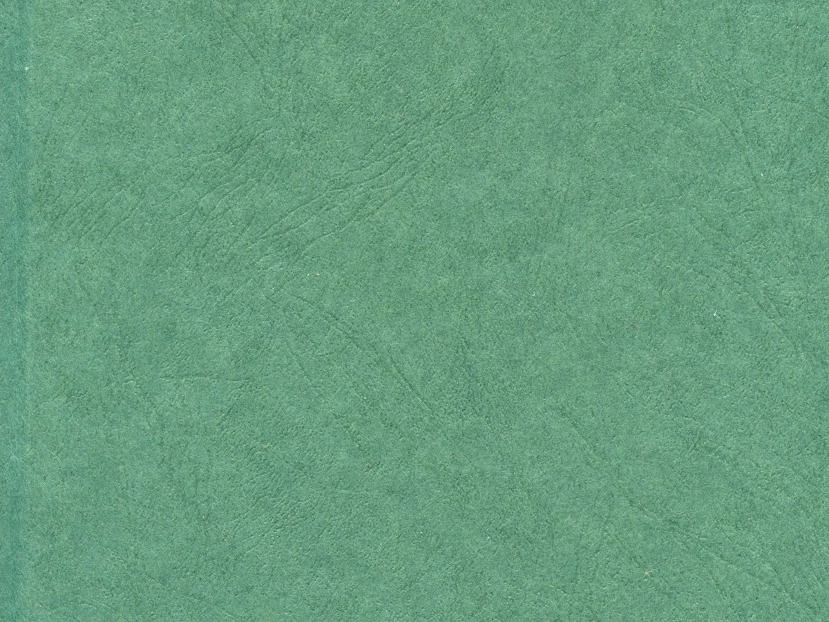 SageBrush Fleece